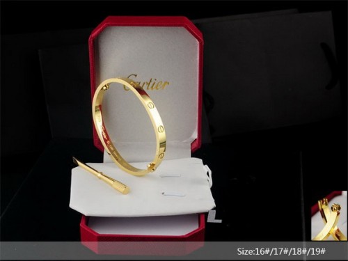 Cartier Bracelets-062