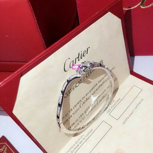 Cartier Bracelets-042