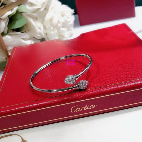Cartier Bracelets-036