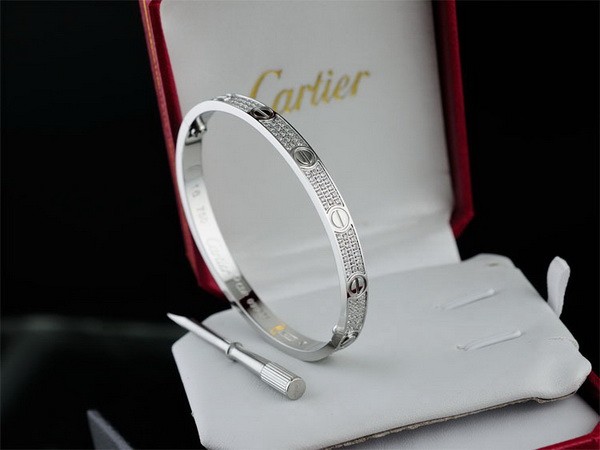 Cartier Bracelets-053