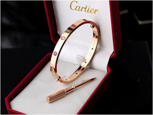 Cartier Bracelets-068