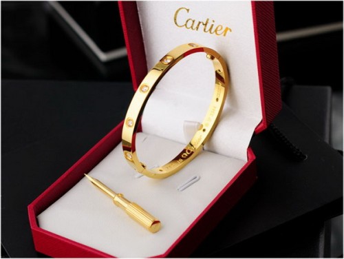 Cartier Bracelets-063