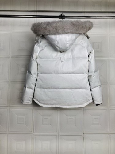 Moose Knuckles Down Coat-095(XS-XL)