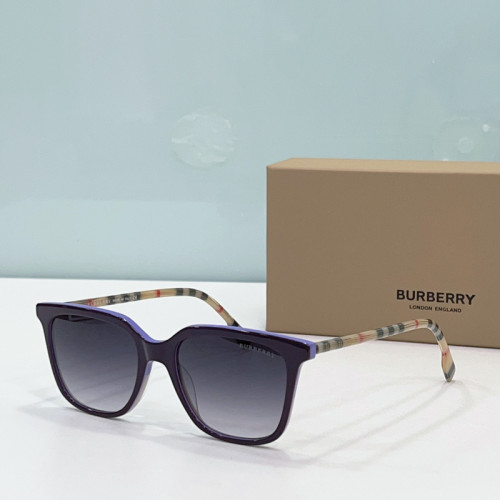 Burberry Sunglasses AAAA-2165
