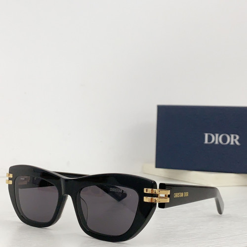 Dior Sunglasses AAAA-2424