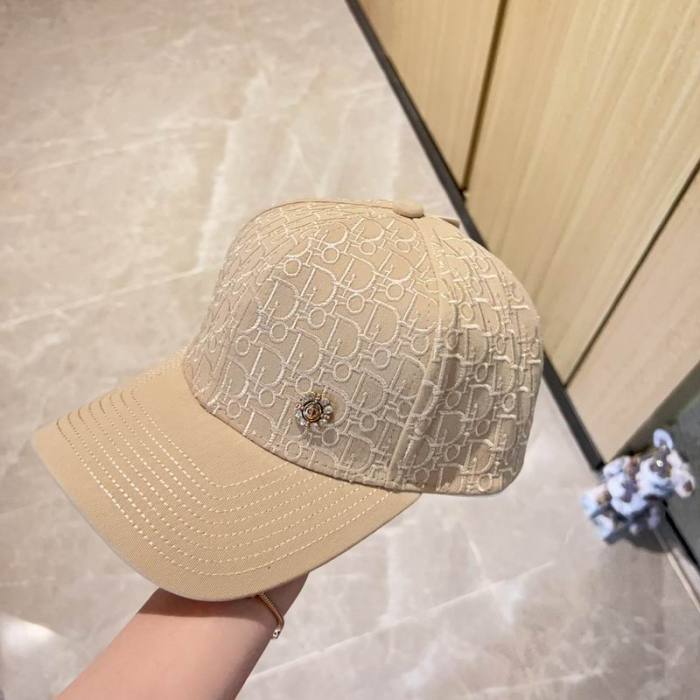 Dior Hats AAA-891
