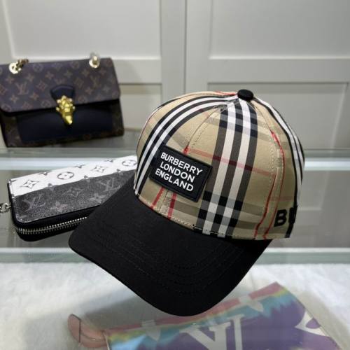 Burrerry Hats AAA-564