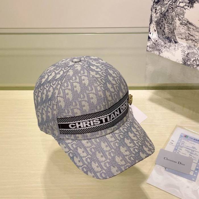 Dior Hats AAA-813