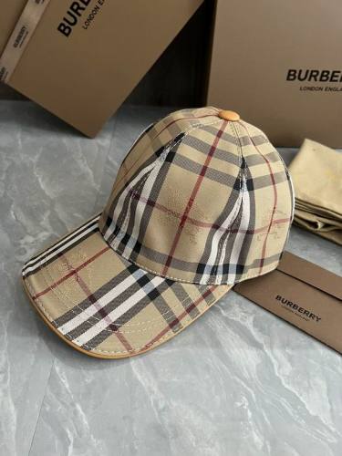Burrerry Hats AAA-494