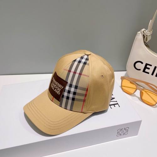 Burrerry Hats AAA-500