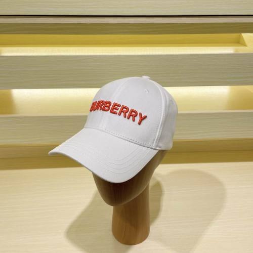 Burrerry Hats AAA-651