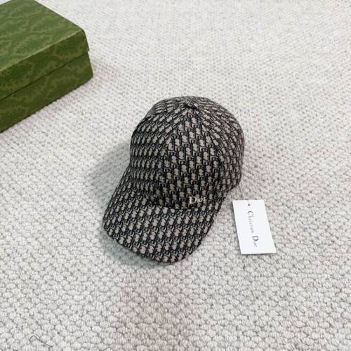 Dior Hats AAA-844