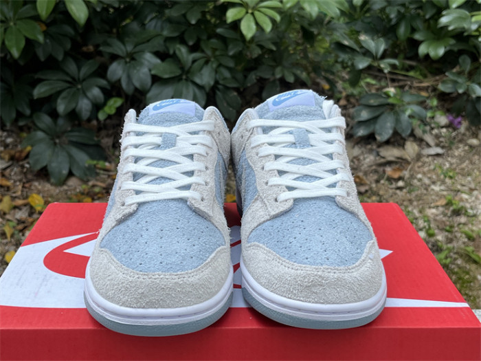 Authentic Nike Dunk Light Armory Blue