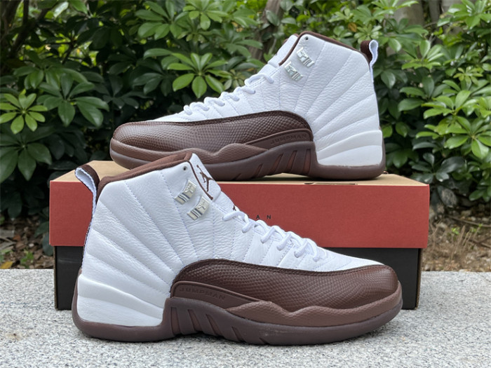 Authentic SoleFly x Air Jordan 12