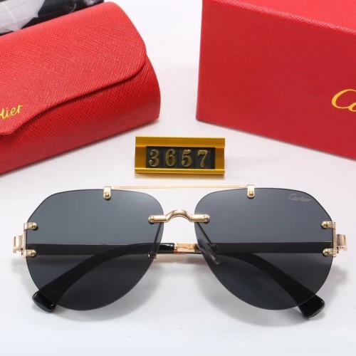 Cartier Sunglasses AAA-2504