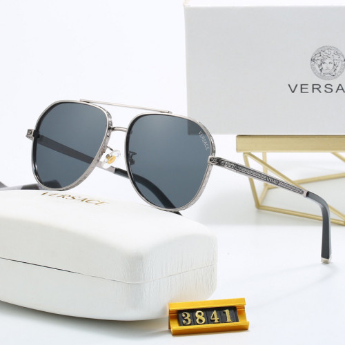 Versace Sunglasses AAA-669