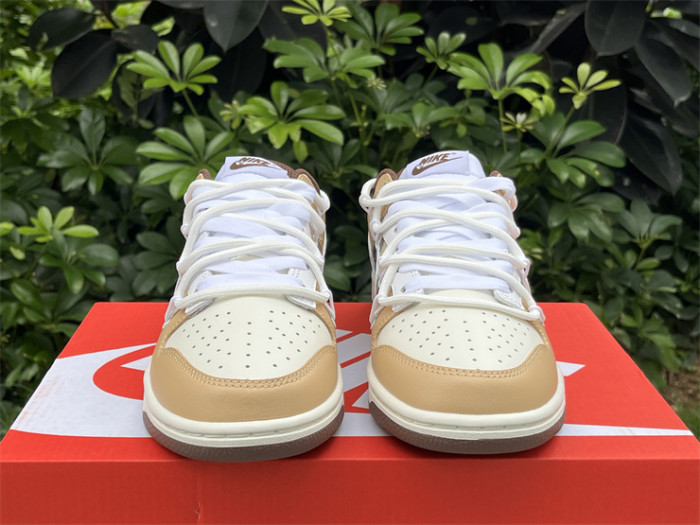 Authentic Nike Dunk Low Custom Brown Burberry