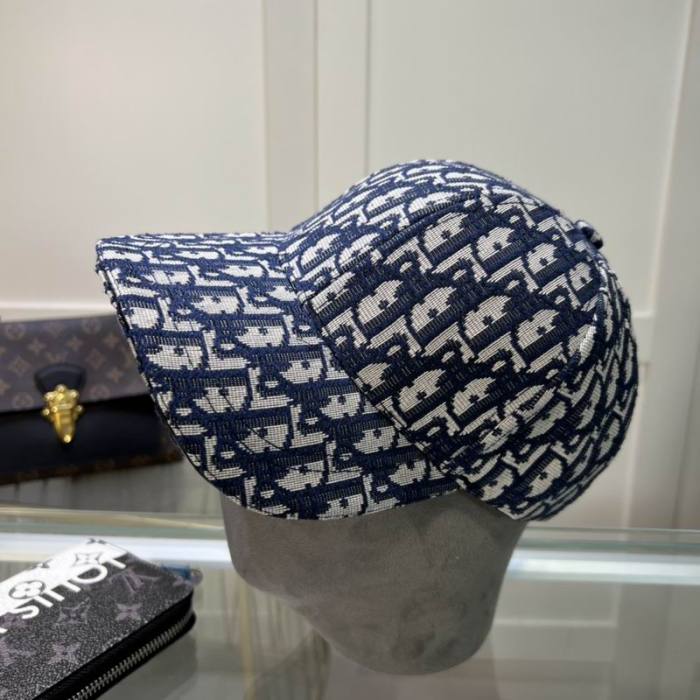 Dior Hats AAA-1122