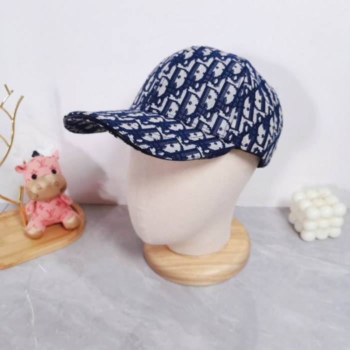 Dior Hats AAA-1045