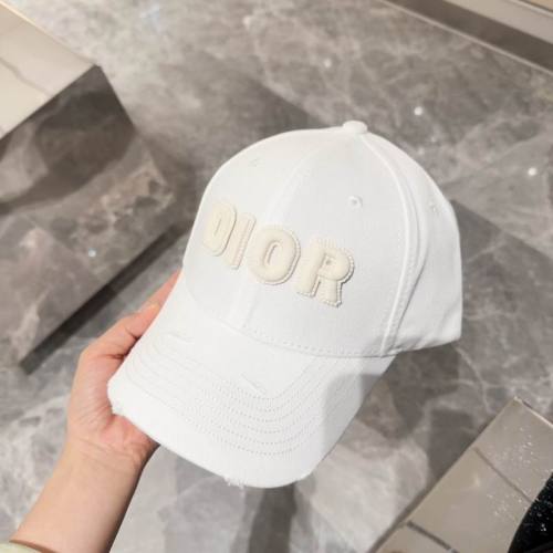 Dior Hats AAA-1075