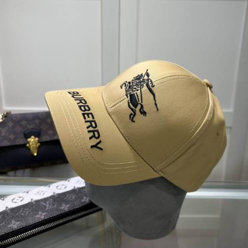 Burrerry Hats AAA-693