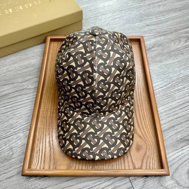 Burrerry Hats AAA-735