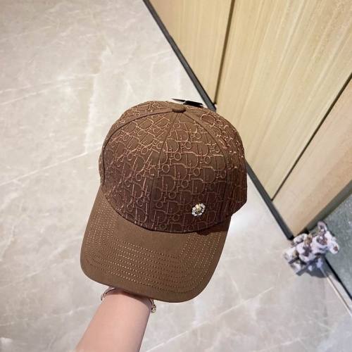 Dior Hats AAA-980