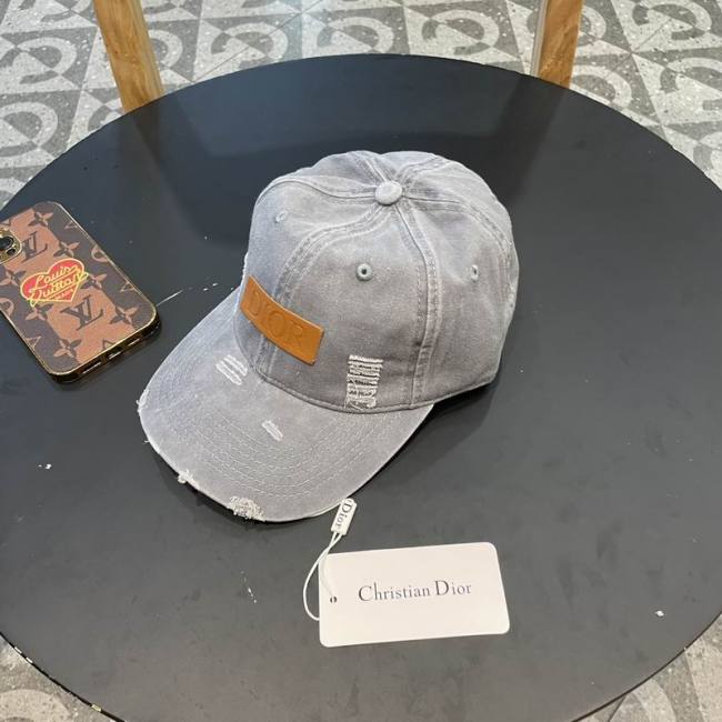 Dior Hats AAA-1102