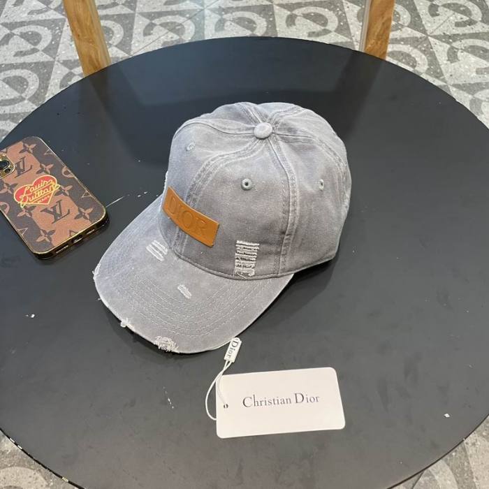 Dior Hats AAA-1102