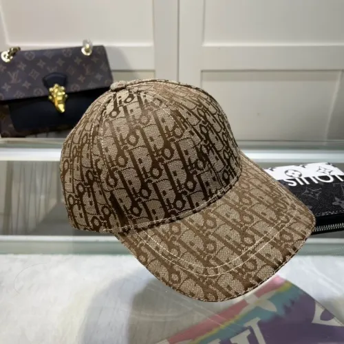 Dior Hats AAA-1123