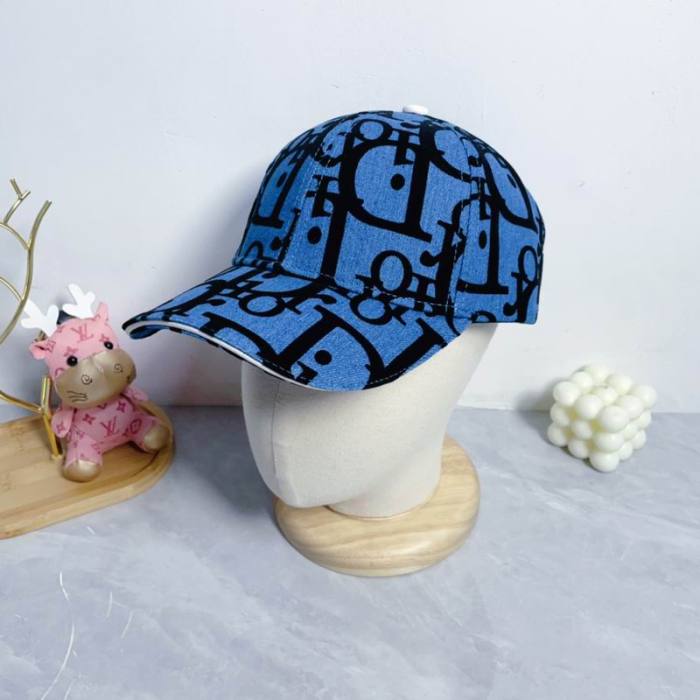 Dior Hats AAA-1106