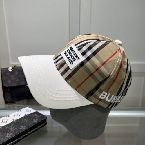 Burrerry Hats AAA-688