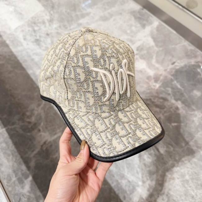 Dior Hats AAA-1005