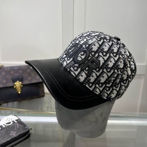Dior Hats AAA-1010