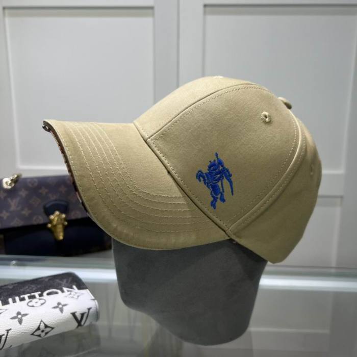 Burrerry Hats AAA-844