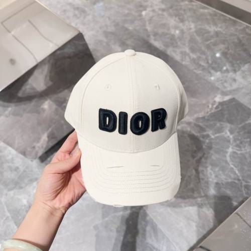 Dior Hats AAA-1113