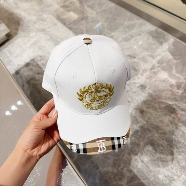 Burrerry Hats AAA-841