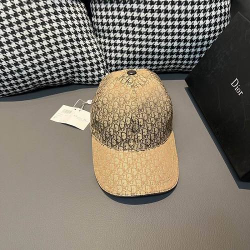 Dior Hats AAA-991