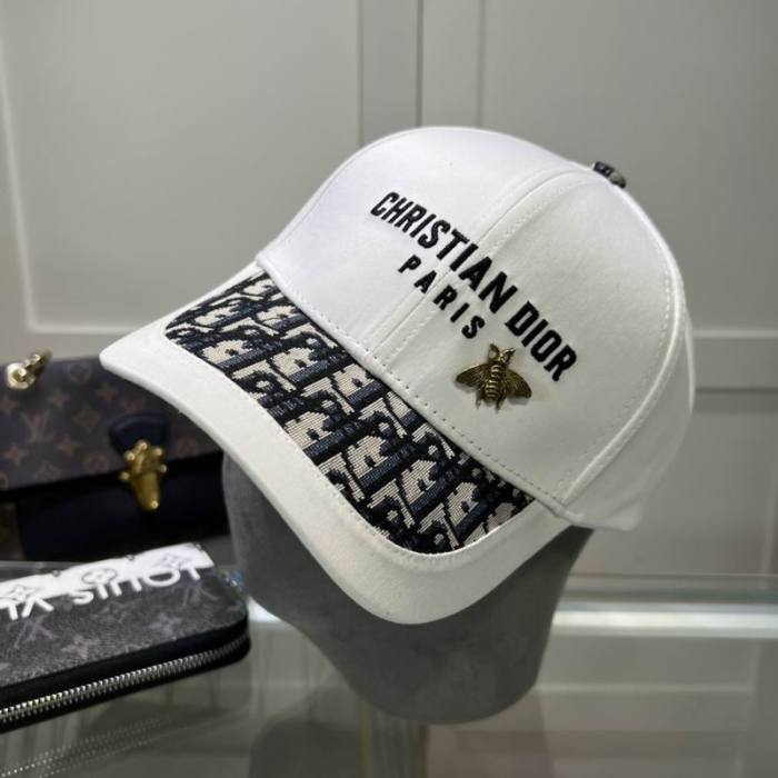 Dior Hats AAA-1081