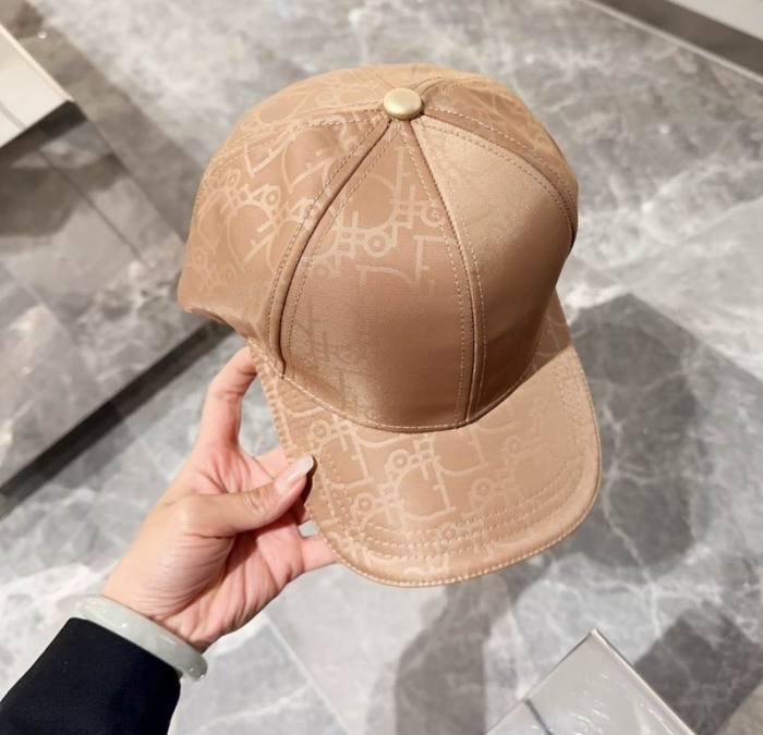 Dior Hats AAA-956