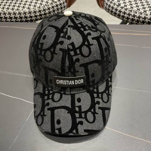 Dior Hats AAA-1093