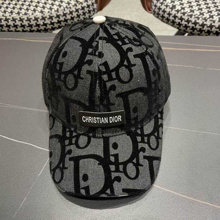Dior Hats AAA-1093