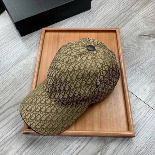 Dior Hats AAA-1044