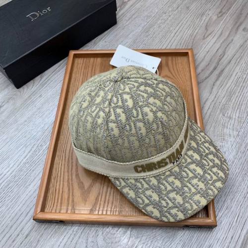 Dior Hats AAA-1233