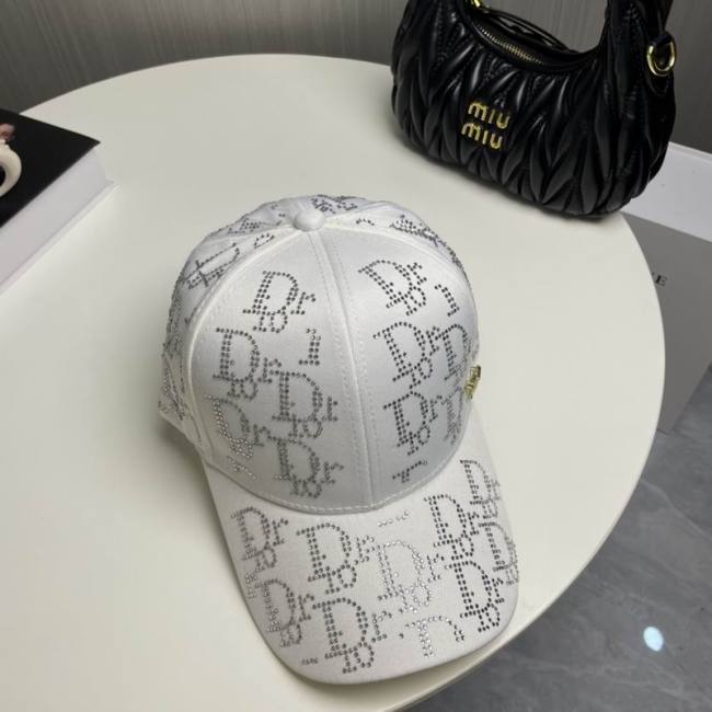 Dior Hats AAA-1277