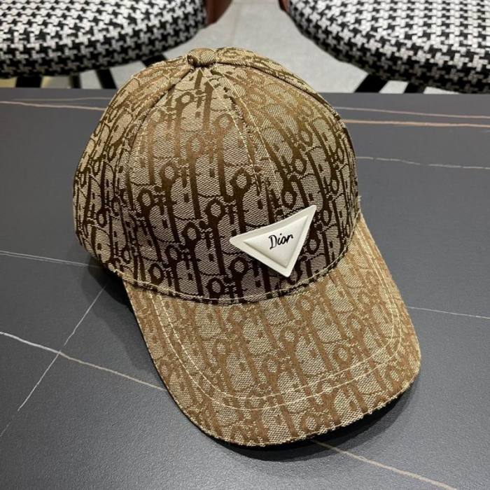 Dior Hats AAA-1222