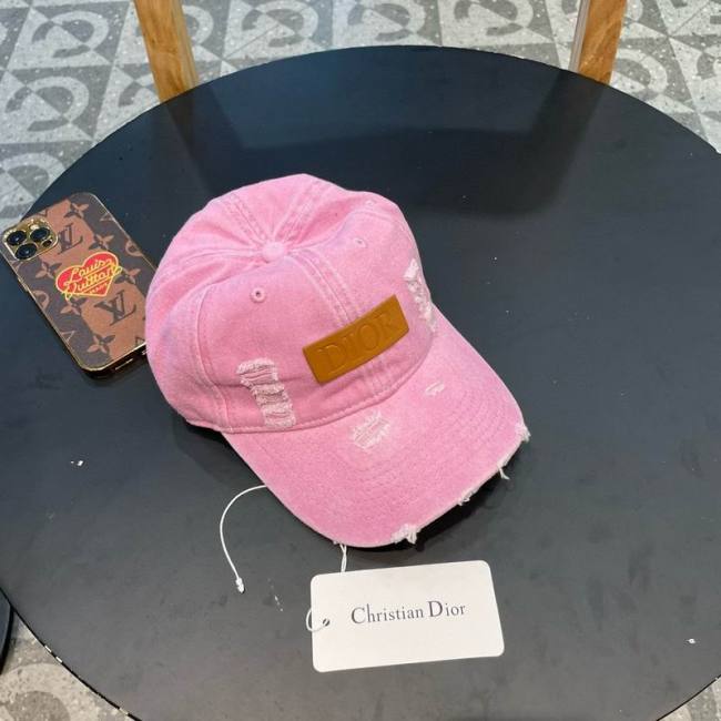 Dior Hats AAA-1264