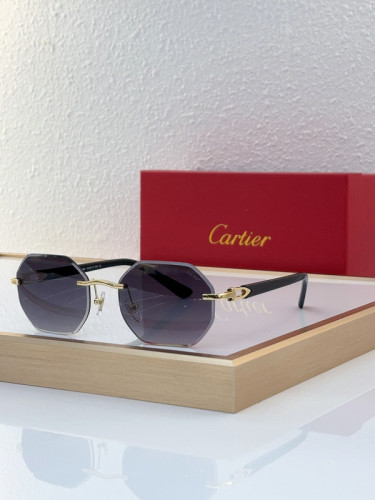 Cartier Sunglasses AAAA-5571