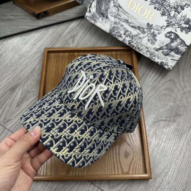 Dior Hats AAA-1146