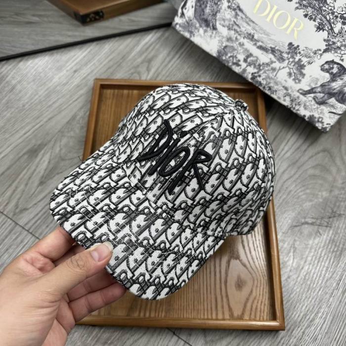 Dior Hats AAA-1149